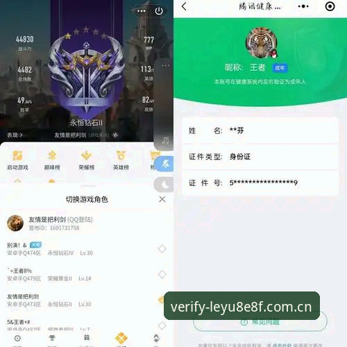 乐鱼登录入口常见问题 乐鱼体育平台登录入口全攻略:真实用户评测与问题解决实战记录